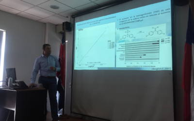 Captura-de-Pantalla-2021-09-30-a-las-17.53.21