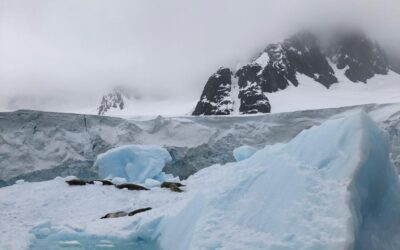 WhatsApp Image 2022-04-24 at 7.12.49 PM (8)