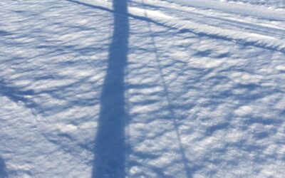 WhatsApp Image 2022-04-24 at 8.04.15 PM